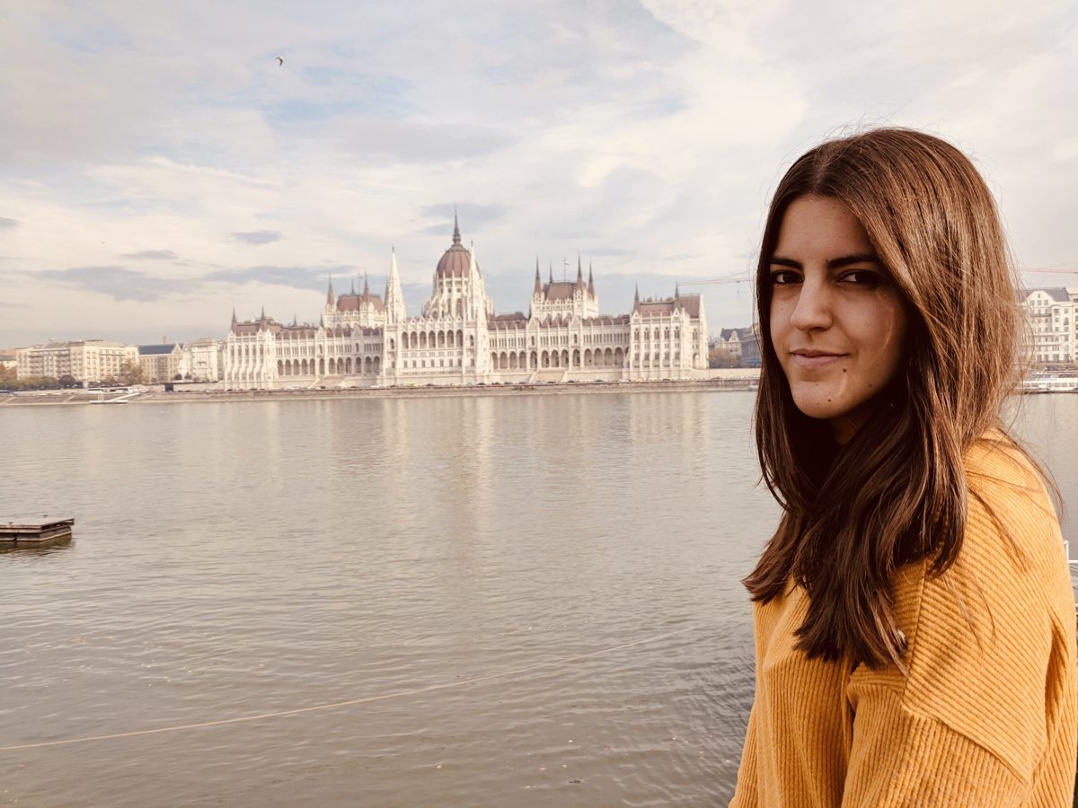 Budapest desde el Bastión de los Pescadores con vistas al Parlamento y el Danubio