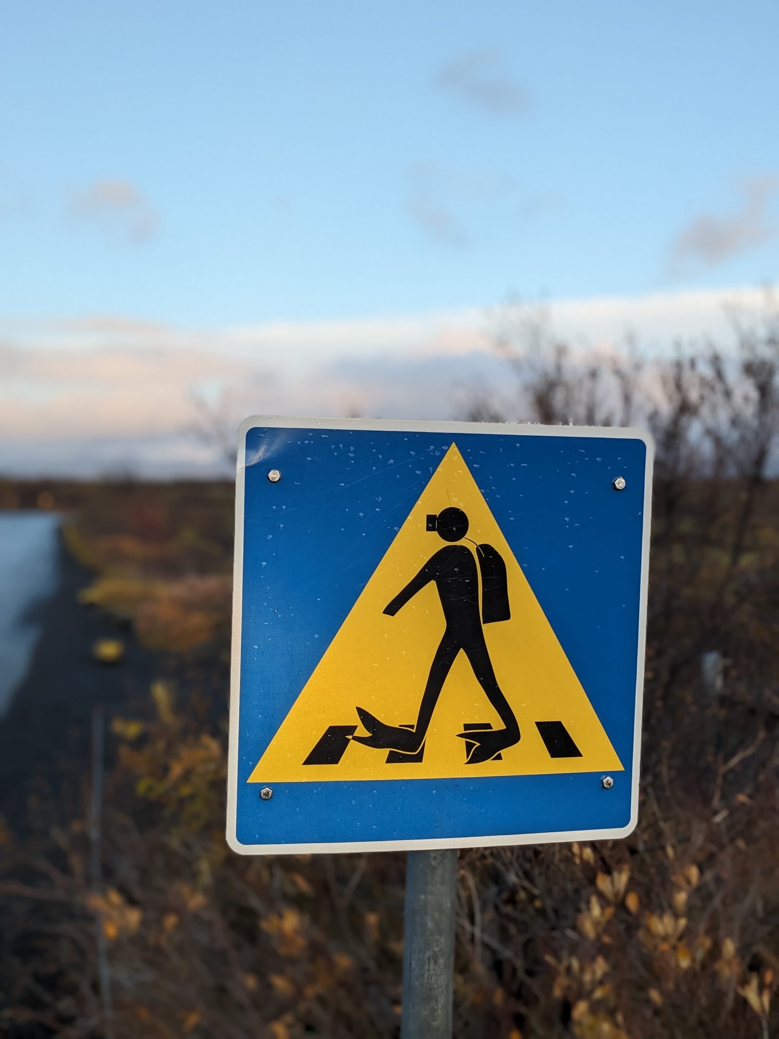 Señal de paso de cebra con buceador en Þingvellir, indica la grieta de Silfra entre dos placas tectónicas