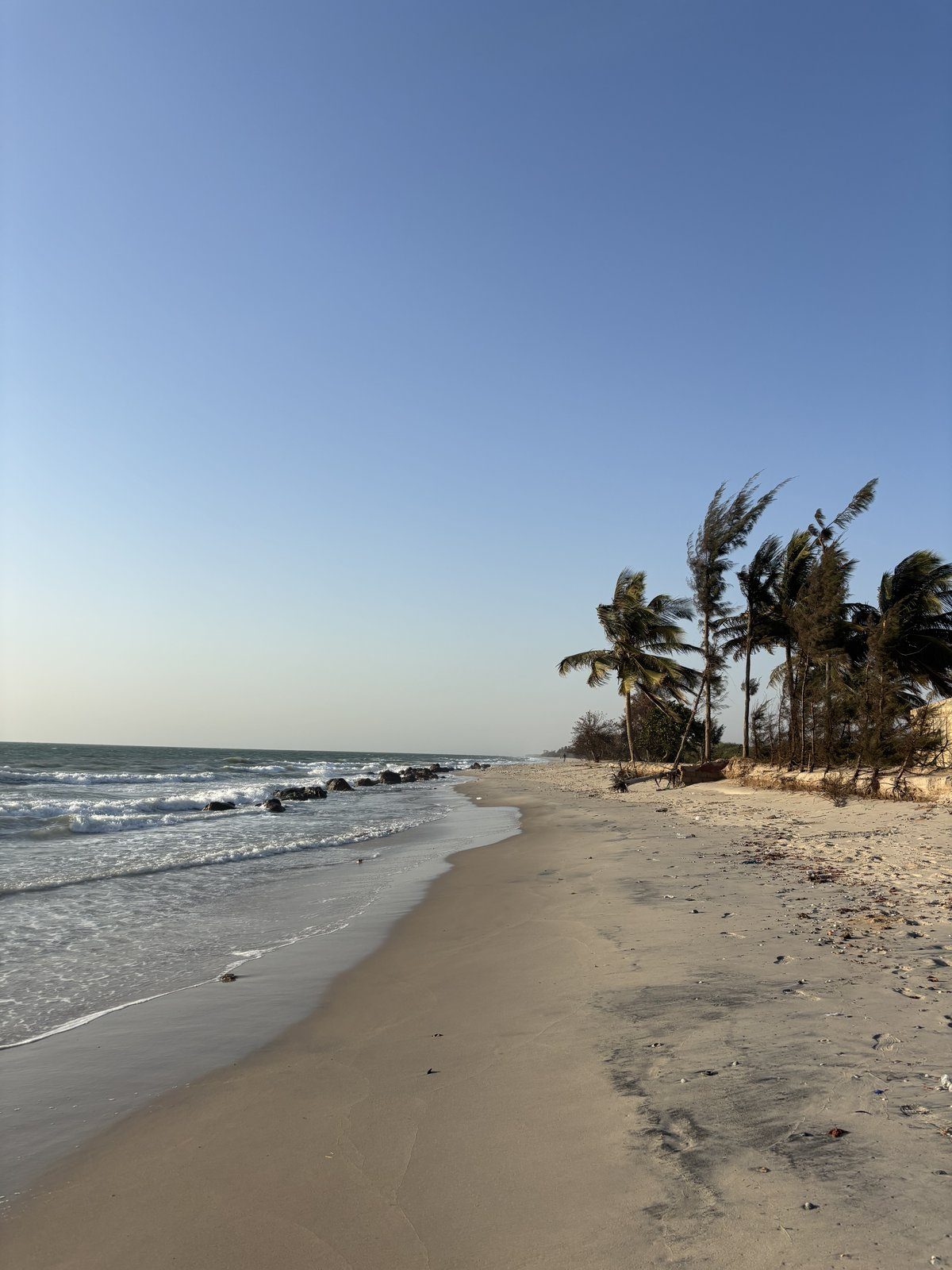 Playa virgen de Palmarin con palmeras al viento, Senegal